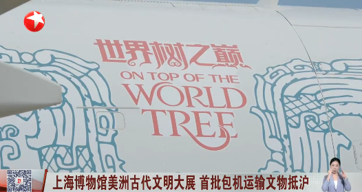 上海博物馆美洲古代文明大展 首批包机运输文物抵沪